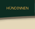 HNDINNEN