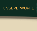 UNSERE WRFE